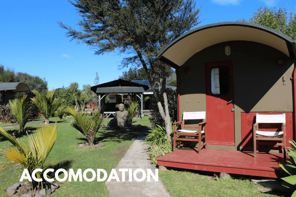 Accomodation Raglan