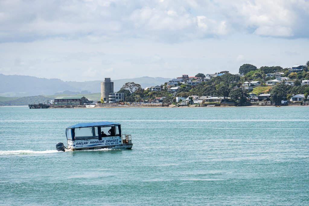 Raglan Harbour Cruise
