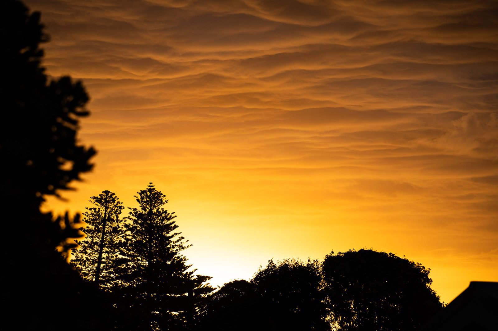 Sunset Picture Raglan